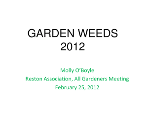 garden weeds 2012 - Reston Association