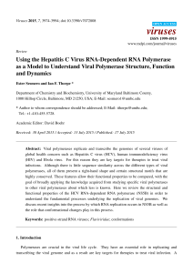Using the Hepatitis C Virus RNA-Dependent RNA Polymerase as a
