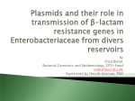 Plasmids in Enterobacteriaceae - EURL-AR