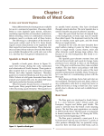 Chapter 2 Breeds of Meat Goats
