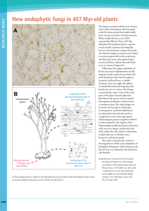 Research News