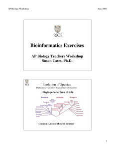 Bioinformatics Presentation by Susan Cates, Ph.D.