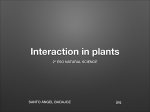 Interaction in plants