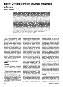 Role of Cerebral Cortex in Voluntary Movements