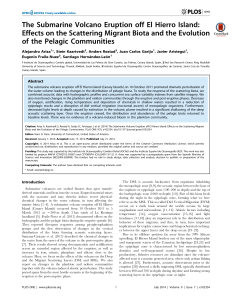 The Submarine Volcano Eruption off El Hierro Island: Effects on the