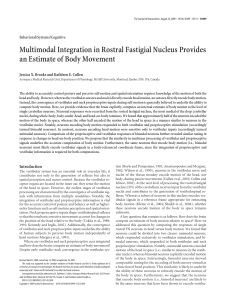 Multimodal Integration in Rostral Fastigial Nucleus Provides an
