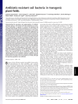 Antibiotic-resistant soil bacteria in transgenic plant