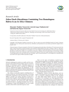 Zebra Finch Glucokinase Containing Two Homologous Halves Is an