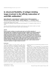 Is structural flexibility of antigen-binding loops