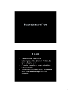 Magnetism and You Fields - Raleigh Charter High School