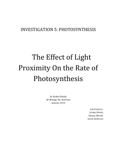 The Effect of Light Proximity On the Rate of Photosynthesis