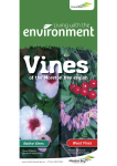 Vines - Moreton Bay Regional Council