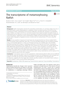 The transcriptome of metamorphosing flatfish