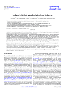 Isolated elliptical galaxies in the local Universe