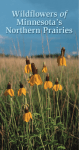 Wildflowers of Minnesota`s northern prairies