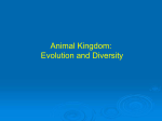 Animal_Diversity - Napa Valley College