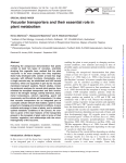 Vacuolar transporters and their essential role in plant metabolism