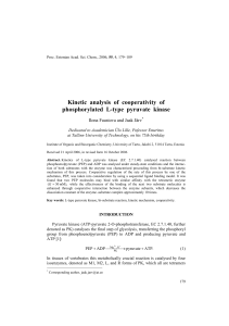 Kinetic analysis of cooperativity of phosphorylated L