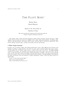 The Plant Body