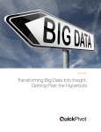 Transforming Big Data into Insight: Getting Past the Hyperbole