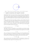 1 Angular momentum and magnetic moment