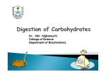 2_Digestion of CHO_Students