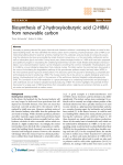 Biosynthesis of 2-hydroxyisobutyric acid (2