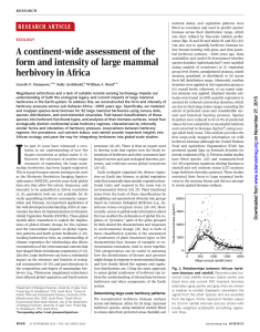A continent-wide assessment of the form and intensity of large