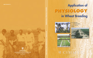 Application of physiology in wheat breeding