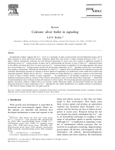 Calcium: silver bullet in signaling