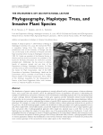 Phylogeography, Haplotype Trees, and Invasive