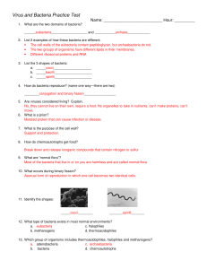 Virus and Bacteria Practice Test