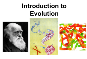 Evolution Unit Notes