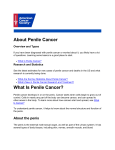 About and Key Statistics - American Cancer Society