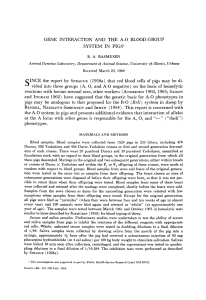 GENE INTERACTION AND THE A-0 BLOOD-GROUP