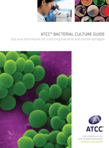 ATCC® BACTeriAl CulTure Guide