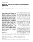 Bionemo: molecular information on