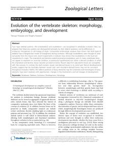 Evolution of the vertebrate skeleton: morphology, embryology, and