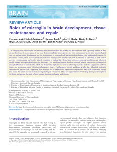 Roles of microglia in brain development, tissue maintenance and