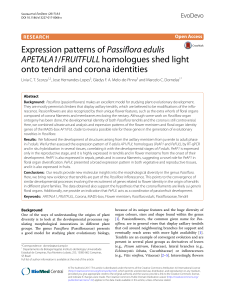 Expression patterns of Passiflora edulis APETALA1