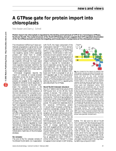 A GTPase gate for protein import into chloroplasts