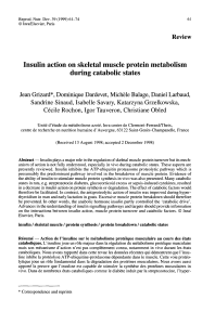 Insulin action on skeletal muscle protein metabolism during