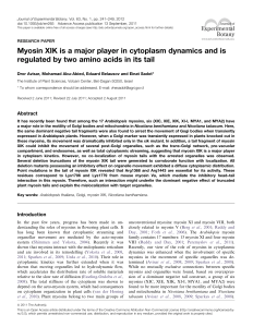 Myosin XIK is a major player in cytoplasm dynamics and is regulated