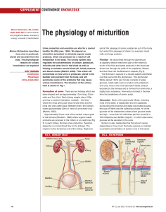 The physiology of micturition