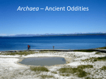 Archaea - The Ancient Oddities