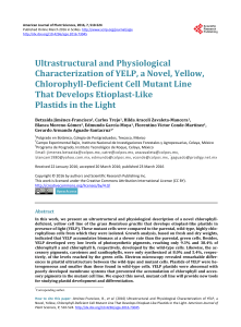 Ultrastructural and Physiological Characterization of YELP, a Novel
