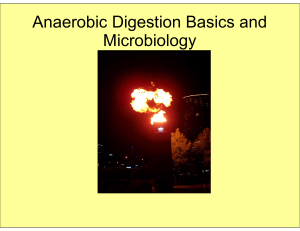 Anaerobic Digestion Basics and Microbiology