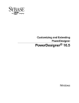 Customizing and Extending PowerDesigner