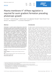 Plasma membrane HATPase regulation is required for auxin
