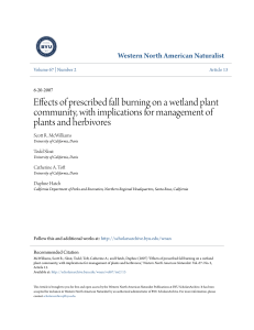 Effects of prescribed fall burning on a wetland plant community, with